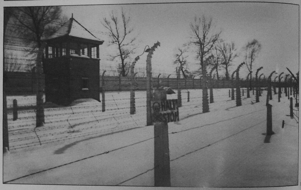 Zig Zag Barbed Wire 1945 Siebels Work Flickr