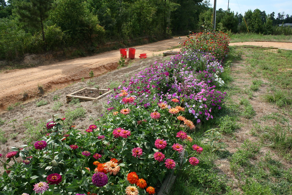 20080702_6082 Part of the garden in Bogue Chitto, Misssiss… Ludie