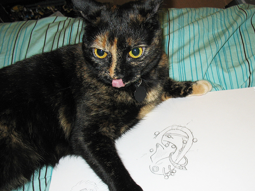 Lydia the ear project thief! The cats decide to play keepa… Flickr