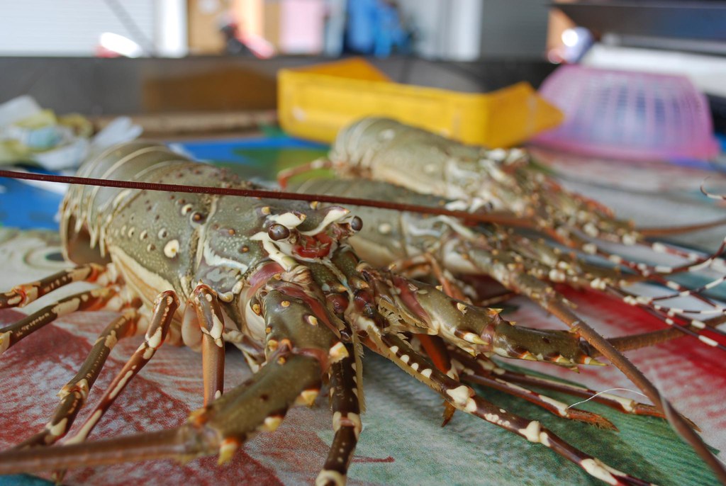 Fresh lobster for sale Kampung Balok Fishermen's Market Flickr