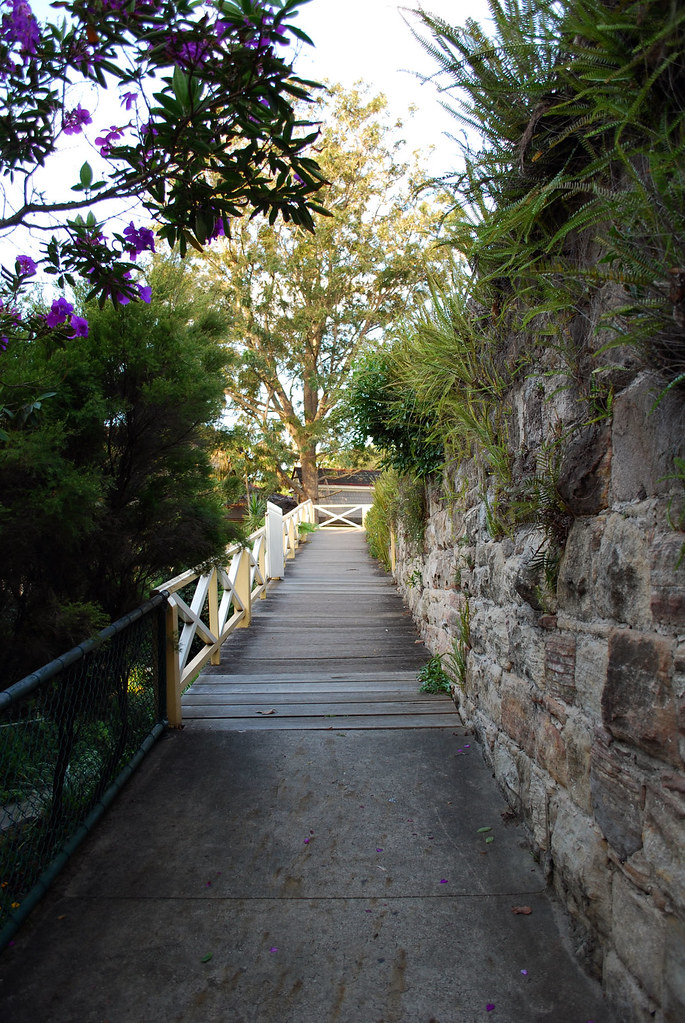 Entrance to Blackburn Gardens Looking up towards New South… Flickr