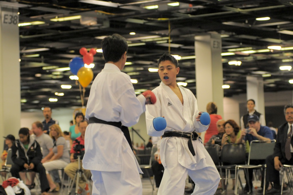 disneyland tournament ronsemailbox Flickr