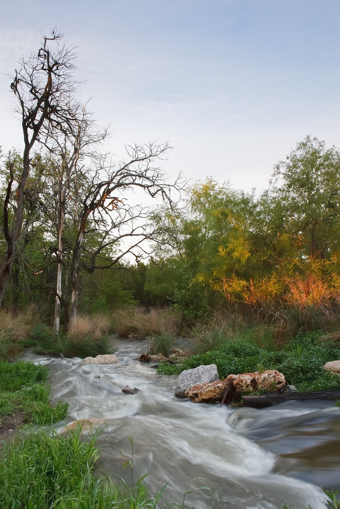 Brushy Creek at Champion Park © 2009 Brush… Flickr