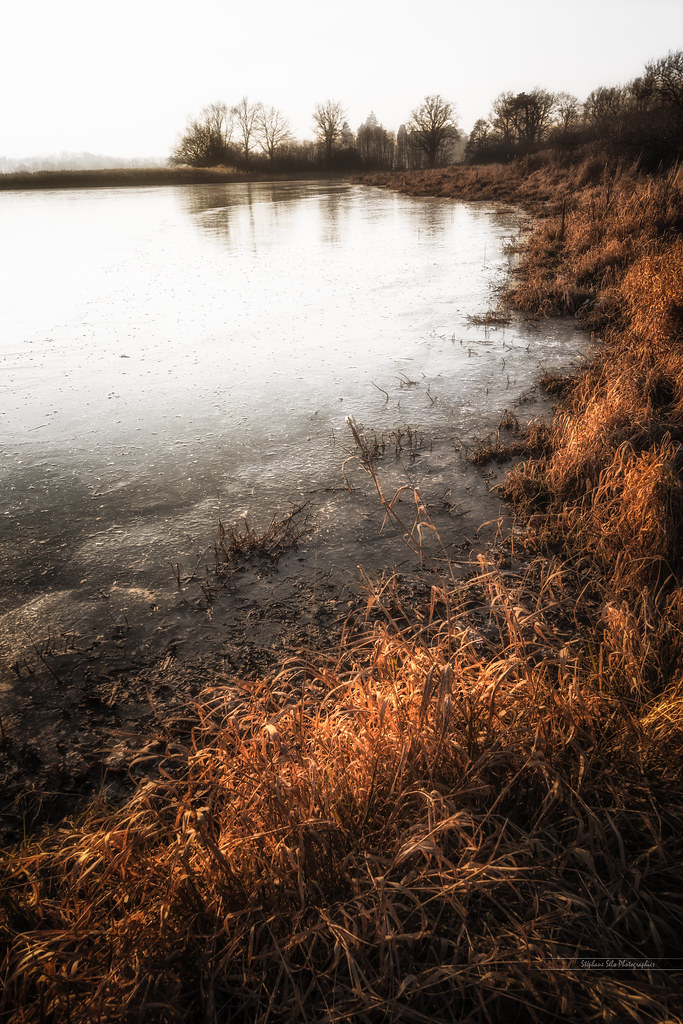 Frozen pond Etang de la Dombe, SaintAndré de Corcy, Ain, … Flickr