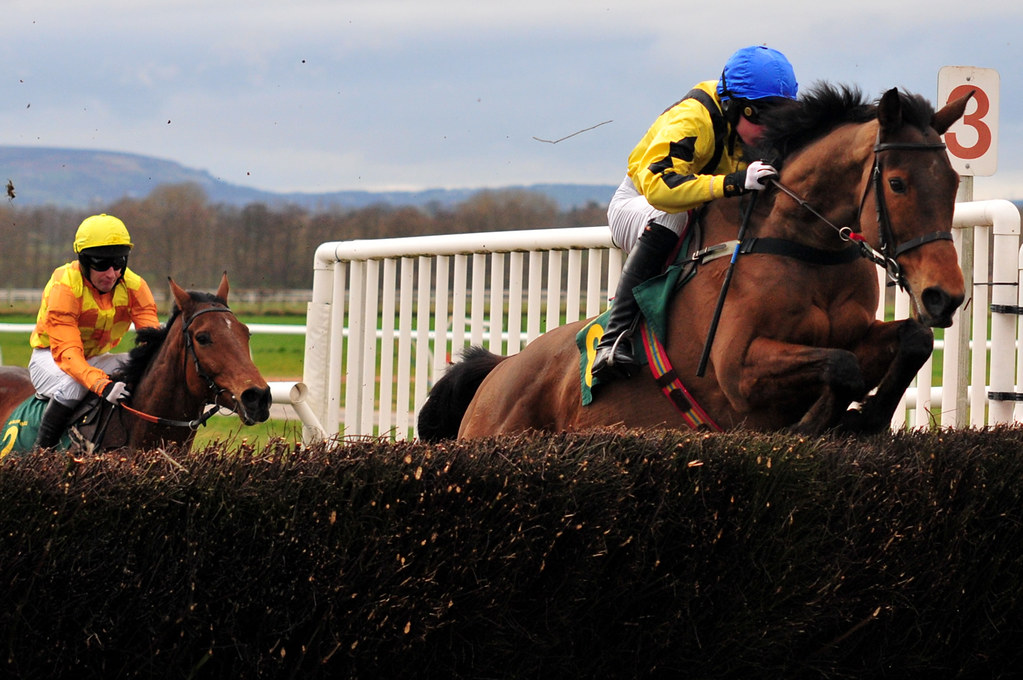 Horse racing Bangor on Dee horse racing National Hunt Paul Flickr