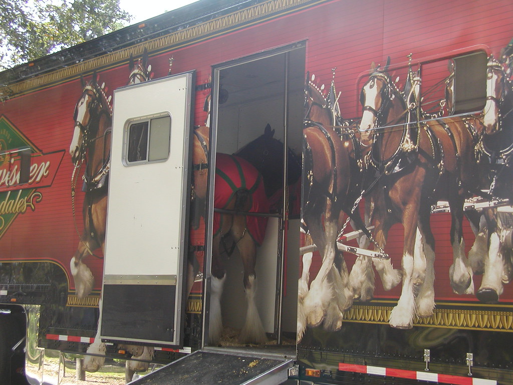 Clydesdale Trailer 3 Carolyn Coney Flickr