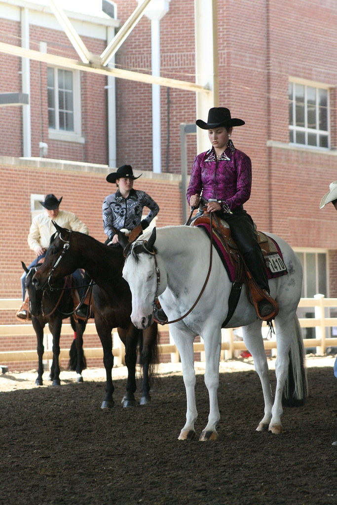 41st Annual All American Youth Horse Show 41st Annual All … Flickr