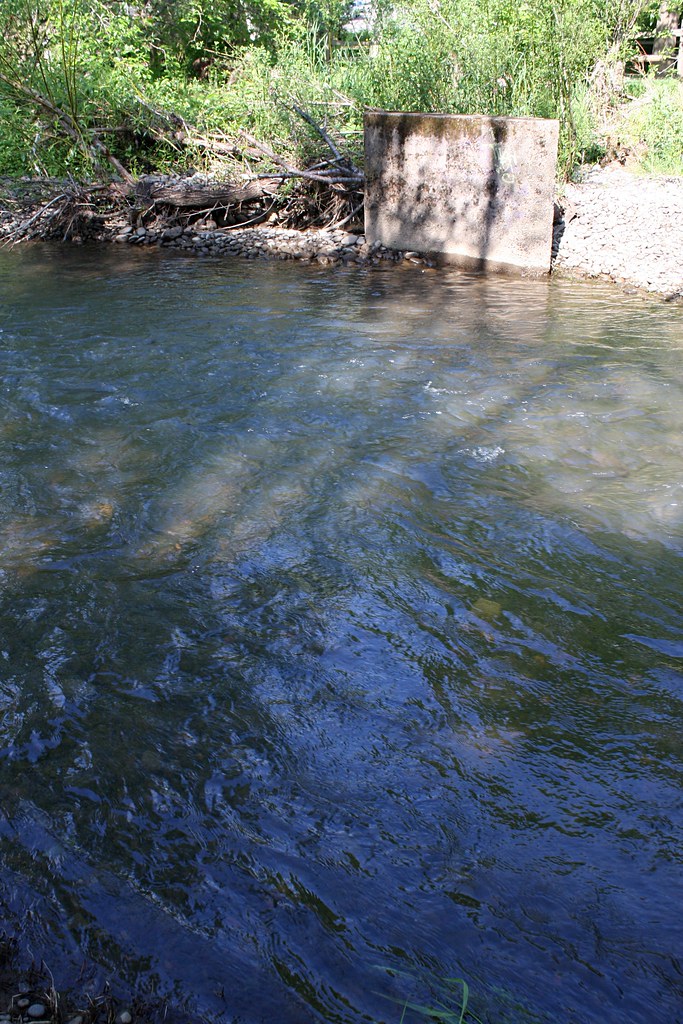 Johnson Creek Park brx0 Flickr