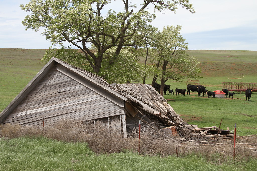 Old house, near Hammon, OK In the early 1900's many people… Flickr