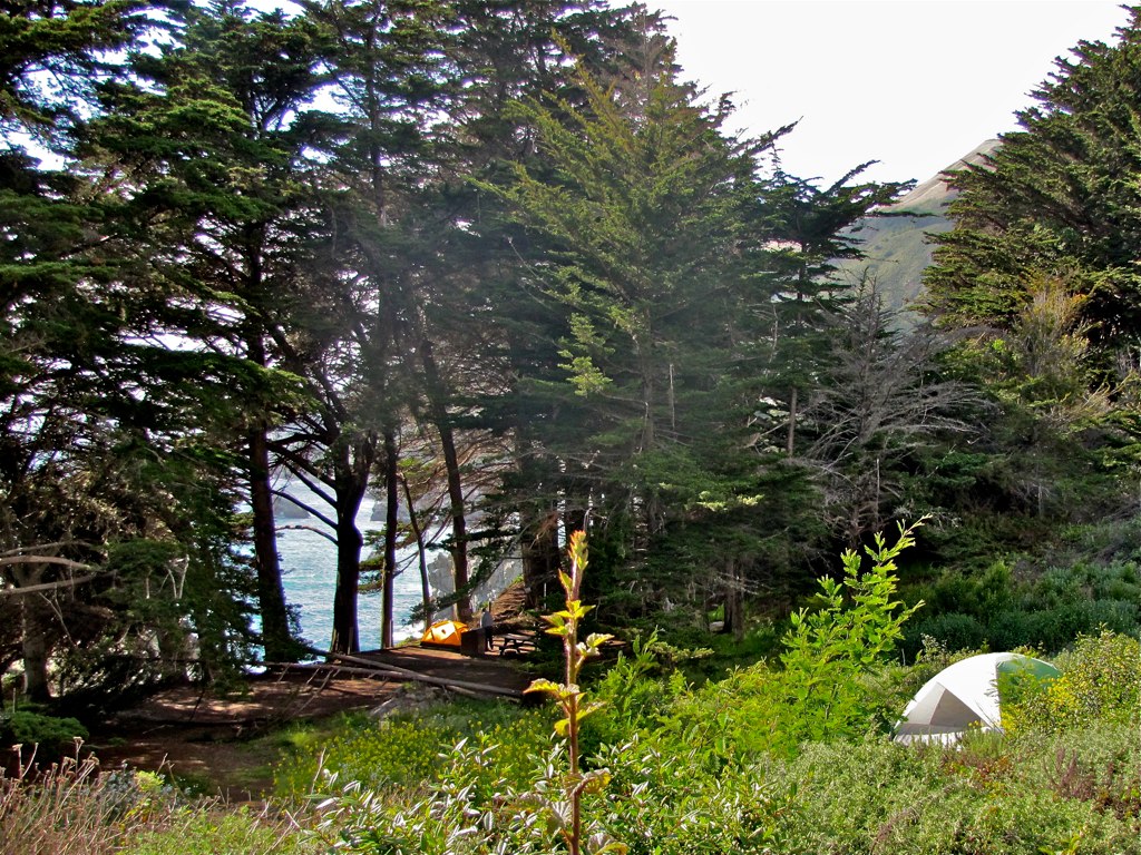 Camping at Julia Pfeiffer Burns State Park Camping at Juli… Flickr