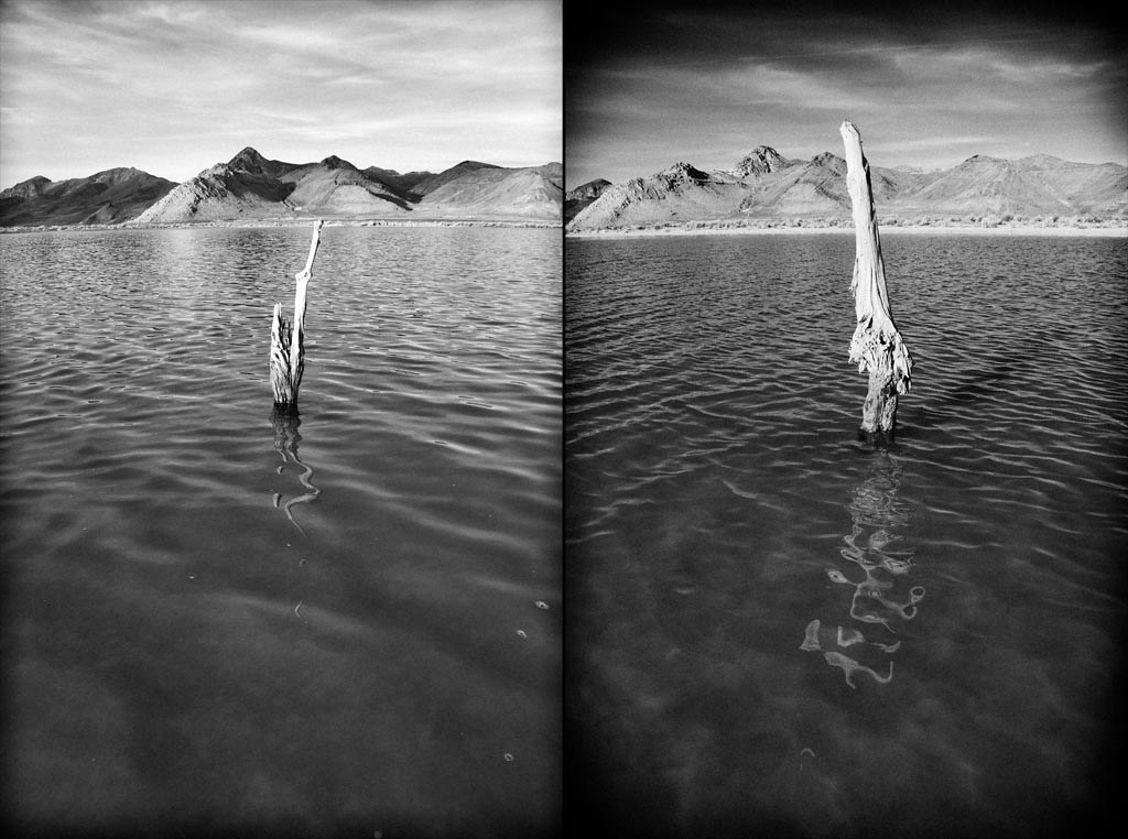 184 & 24 Stansbury Island Portrait Series Wet 184 & 24.… Flickr