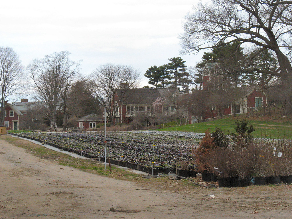 Allandale Farm Allandale Farm in Boston, MA. This photo fe… Flickr