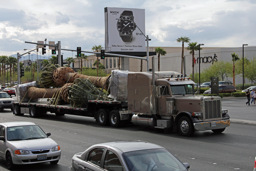 Palm Trees transport Tom Inthof Flickr