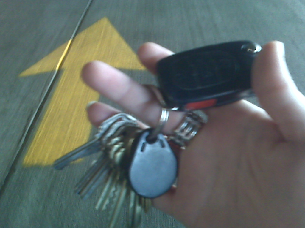 I have too many keys. 7 various house keys, 1 key fob, and… Flickr