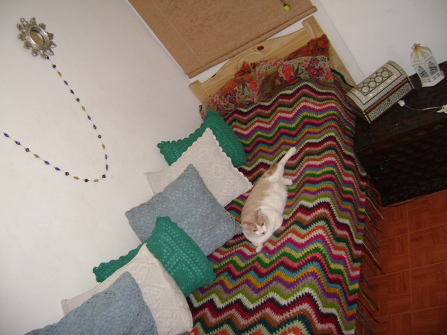 The ripple afghan on a bed... and a cat :) | This is Cata, m… | Flickr