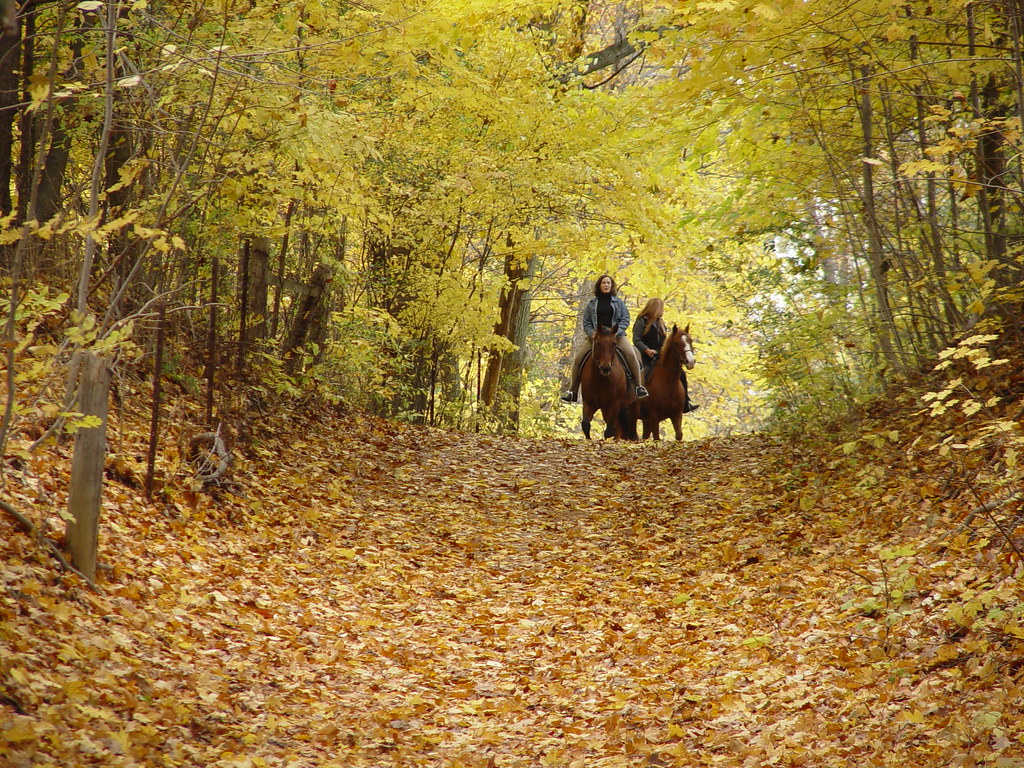 Horseback riders enjoy the Fall scenery Hamilton Conservation