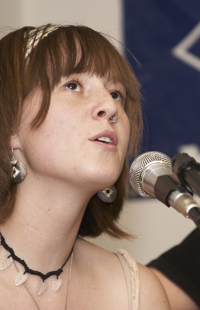 Music Festival at the Pink Palace Flickr