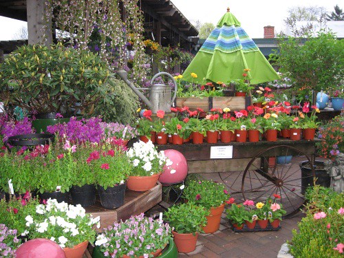 Chalet Landscape/Nursery Garden Center Chalet Landscape/Nuâ€¦ Flickr