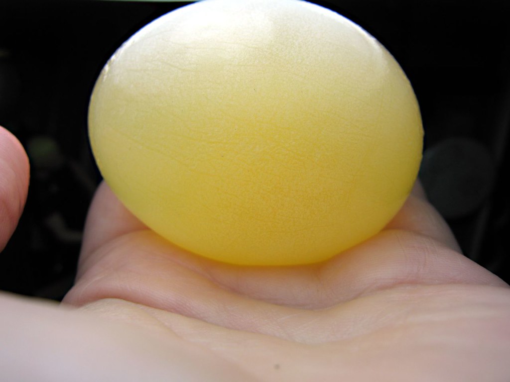 Eggsperiment! If you soak an egg in vinegar overnight, the… Flickr