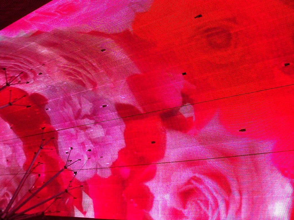 Vegas 146 World's Largest TV screen mmorrighan2755 Flickr