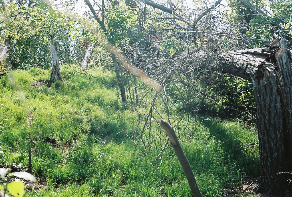 lumber yard summr Flickr
