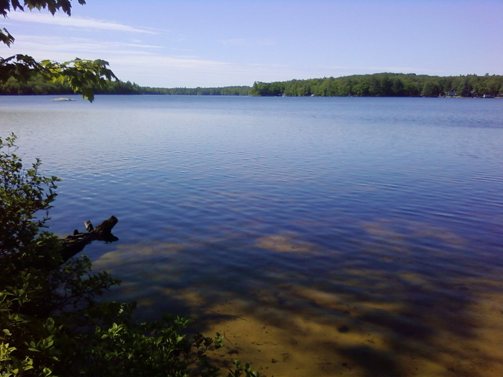 Elevation of Back Rd, Shapleigh, ME, USA Topographic Map Altitude Map