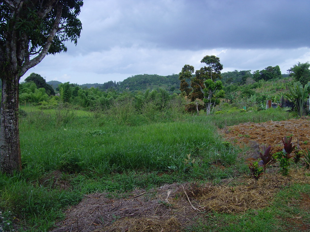 St James, Jamaican countryside BBC World Service Flickr