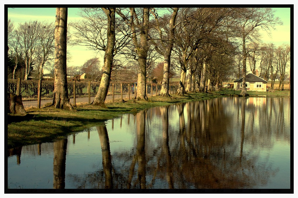 Flood reflections In a field near Chapelton, South Lanarks… Flickr