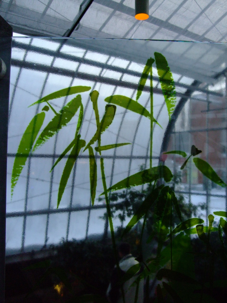 Tropical Food Plants twacar Flickr