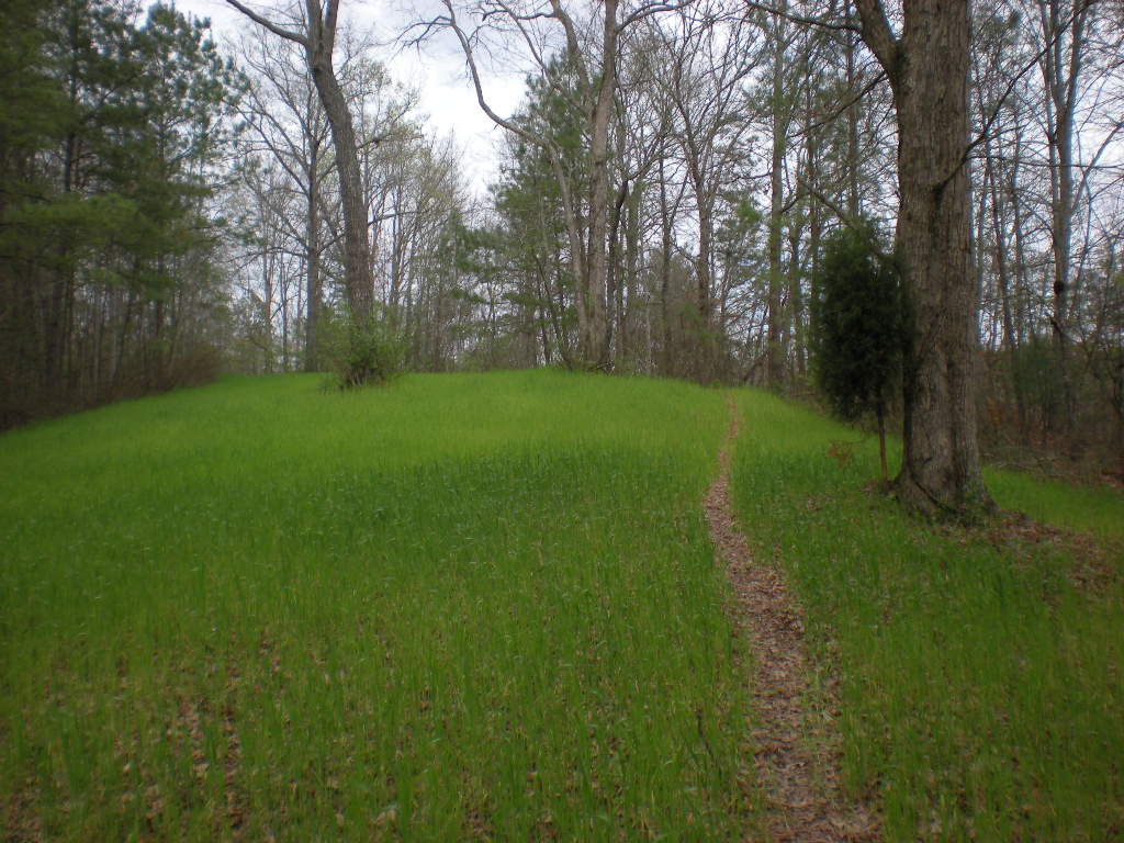 6 Ridgeway Trail 4 David Muse Flickr