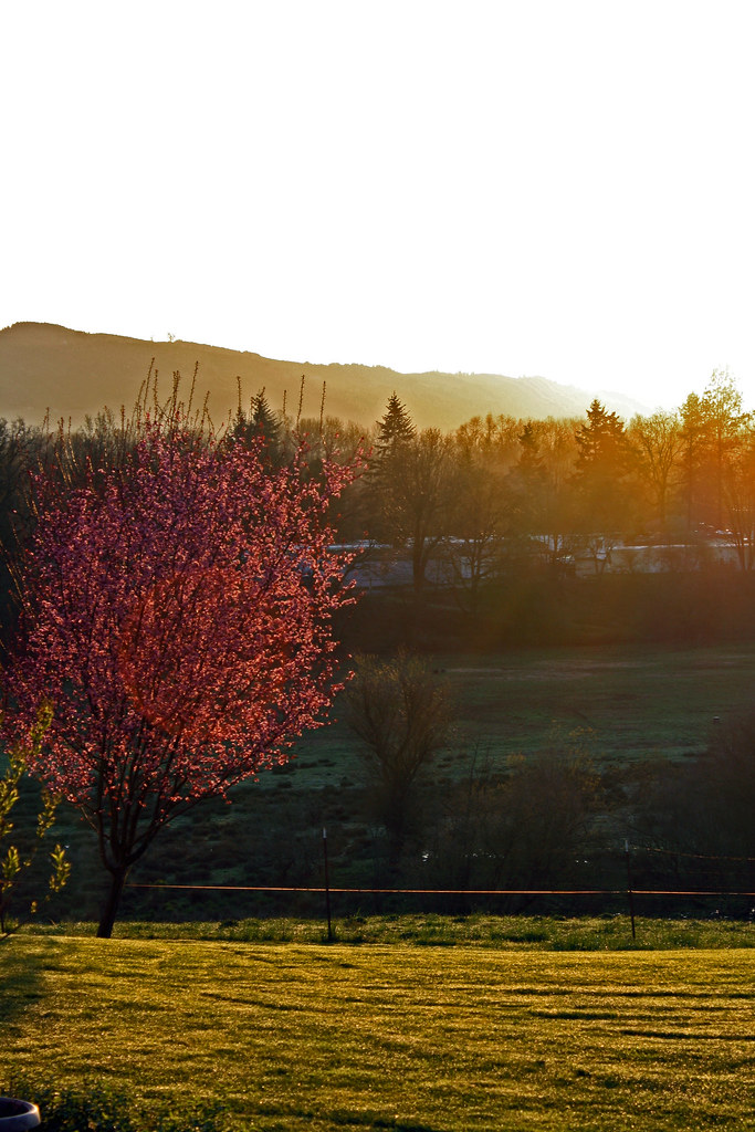 Deer Island Oregon mariaharmijo Flickr