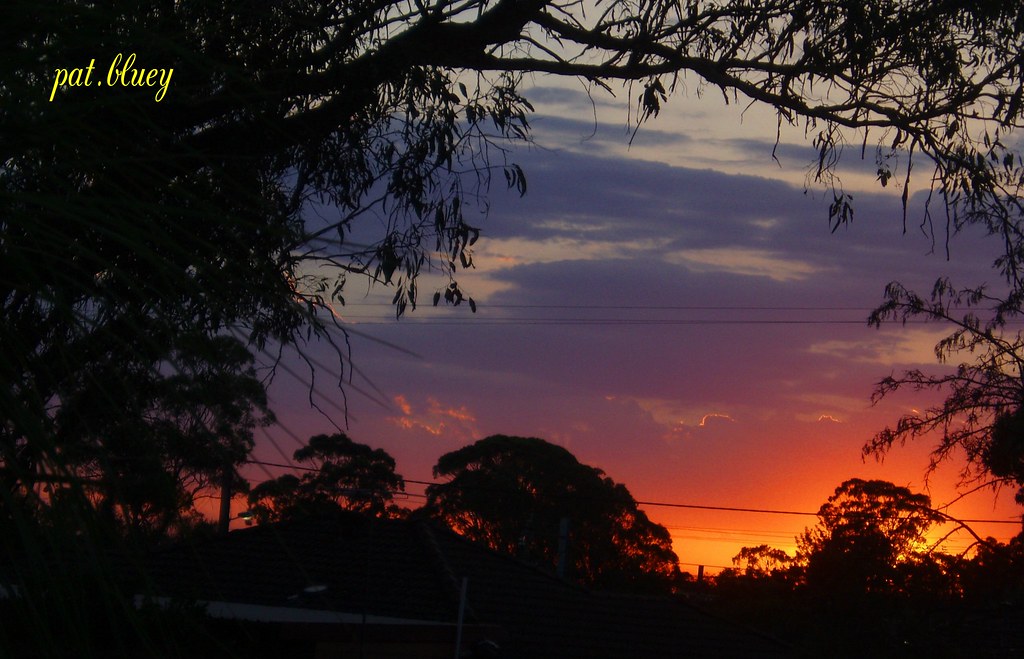 Sunset Blacktown Sunset over Blacktown New South Wales Aus… pat