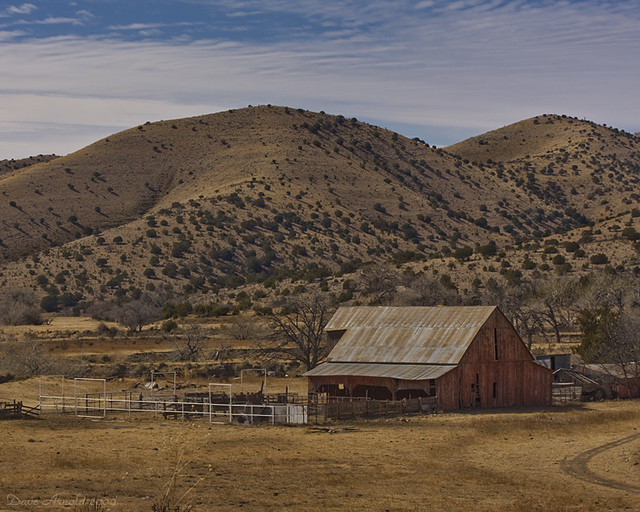 Follow the tracks I left back there Rio Penasco, New Mexic… Flickr