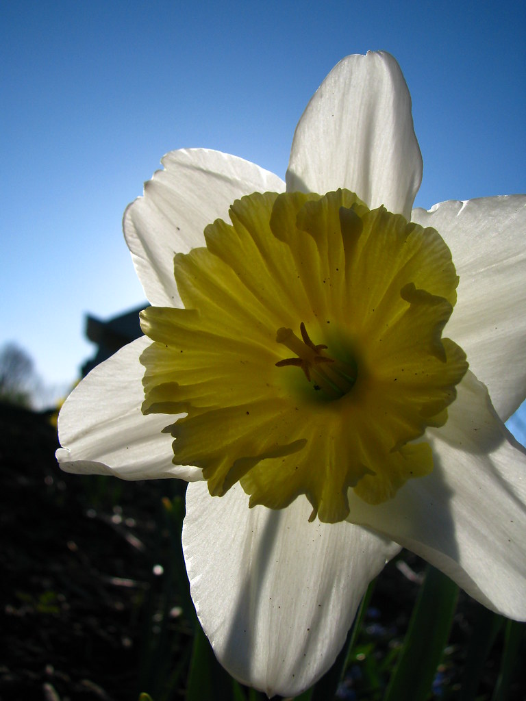 IMG_4200 Chelsea Milligan Flickr