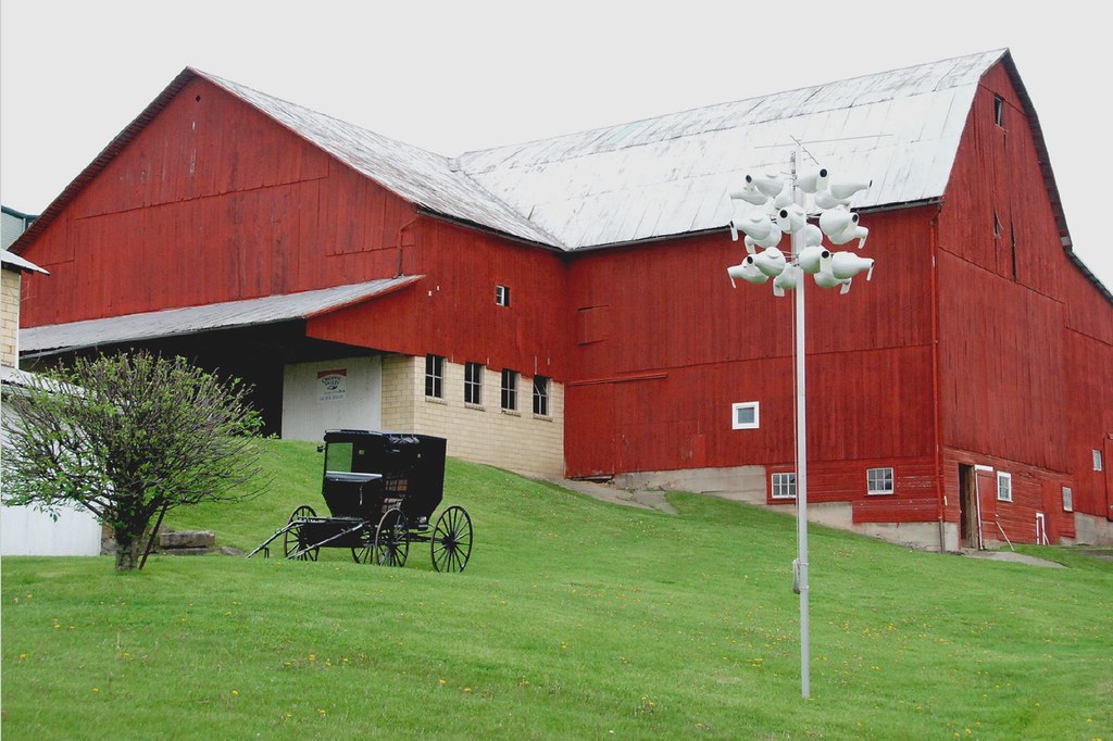 Holmes County, Ohio Amish Barn & Buggy A big, red barn a… Flickr