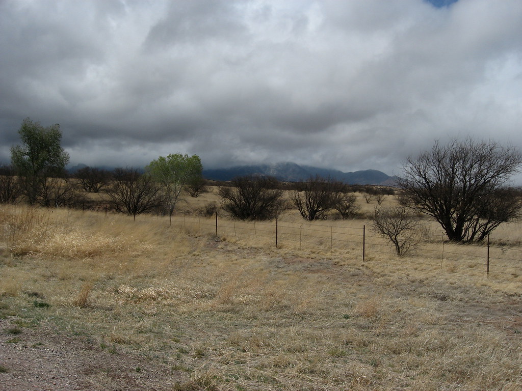 S.R. 82 Between Patagonia and Sonoita, Arizona Sonoita is … Flickr