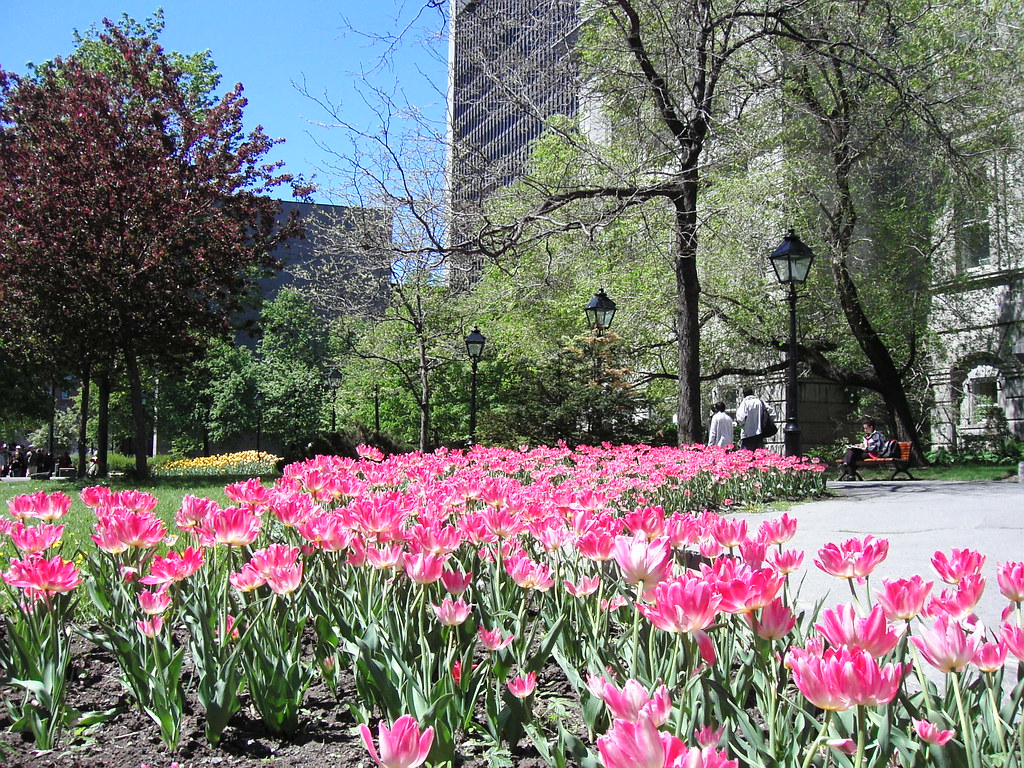 Quebec garden 2 Those flowers were quite pretty. Danny Chia Flickr