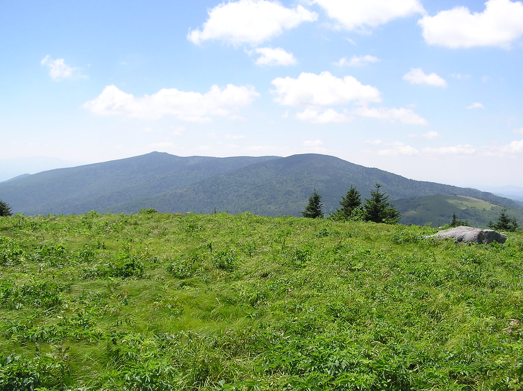 P6240117 Roan High Bluff and Roan Mtn from Grassy Ridge mhaug32