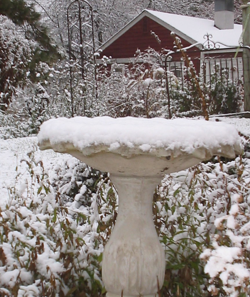 camrose hill farm winter Camrose Hill Flowers Flickr