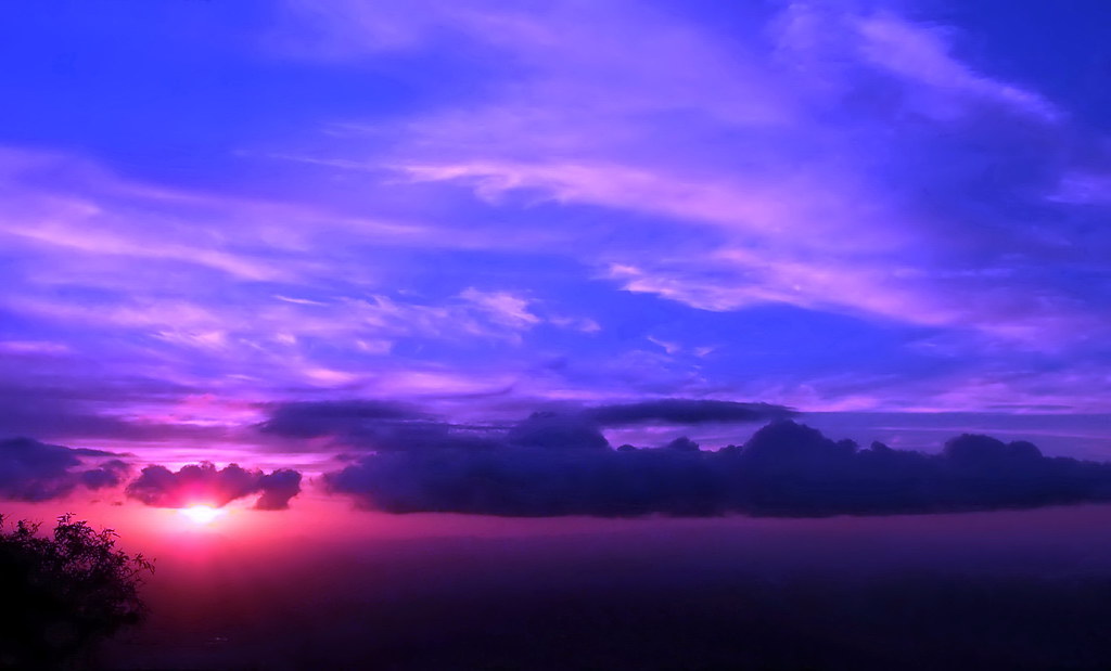 My Blue Heaven View On Black On the very rare occasions I … Flickr