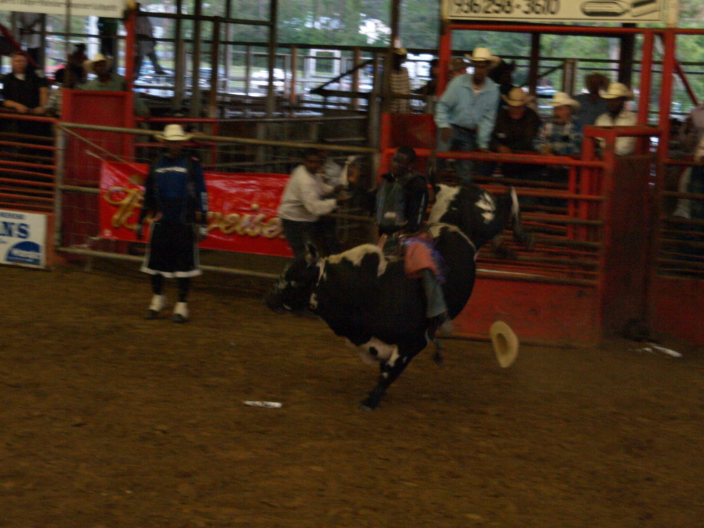 2023 Tve Events Liberty,Tx Liberty Texas TVE Trinity Valley Exposition Arena Our Moth… Flickr