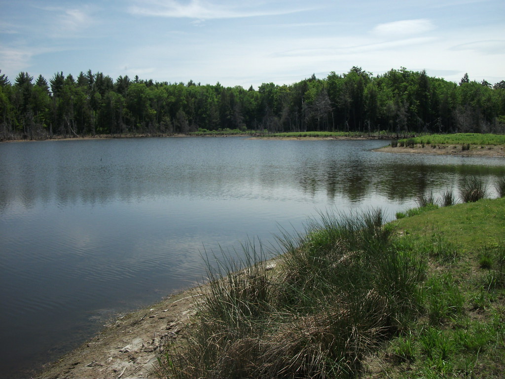 Looking Glass Pond West Fulton, New York Looking Glass P… Flickr