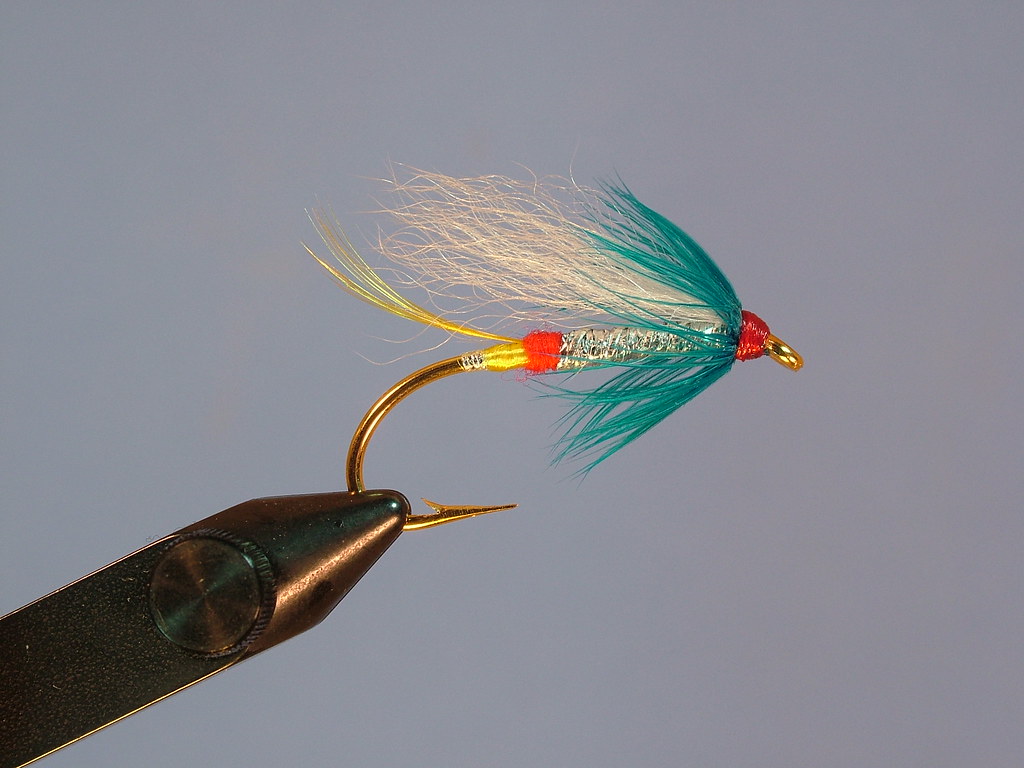 Nova Scotia Fly Nova Scotia Fly pacres Flickr