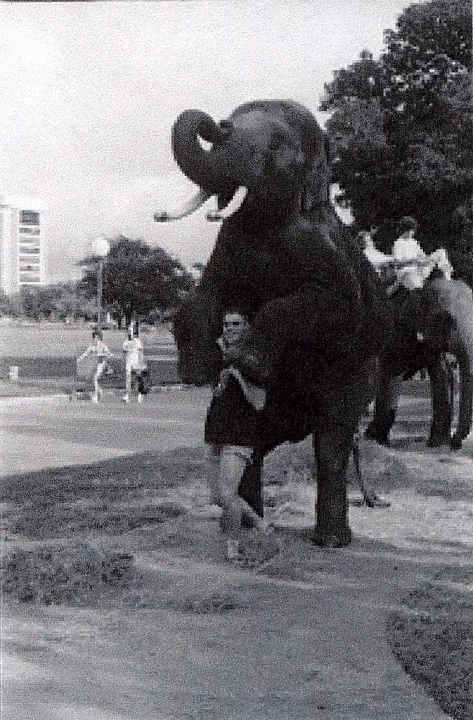 Elephant Walk 65 Title Elephant Walk 65 Digital Publi… Flickr