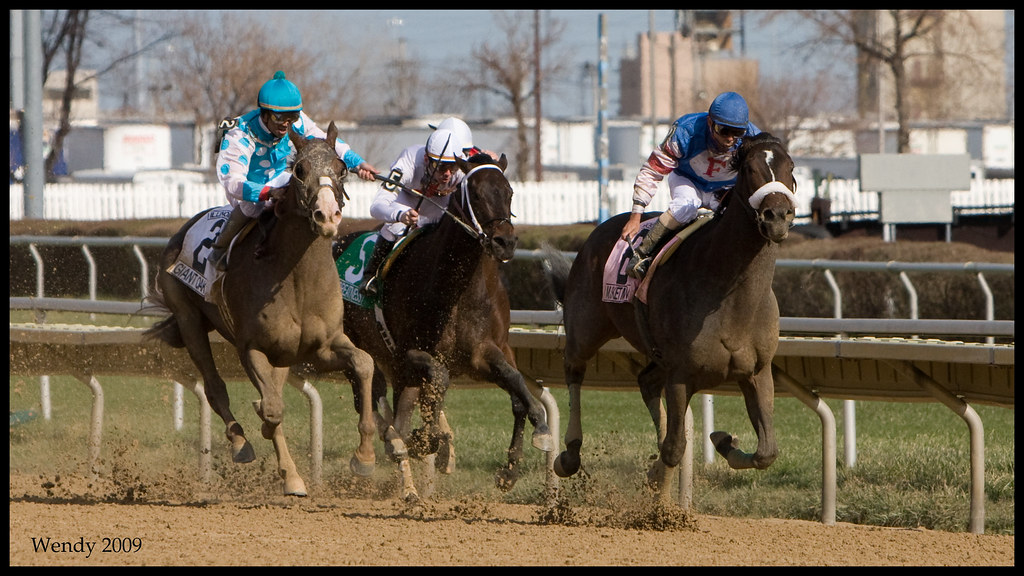 Illinois derby Wendy Wooley Flickr