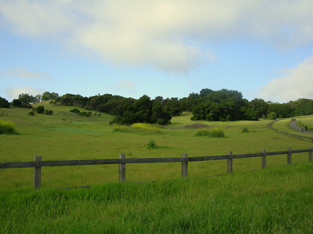 Rolling Green Hills Pretty green fields during the spring … Flickr