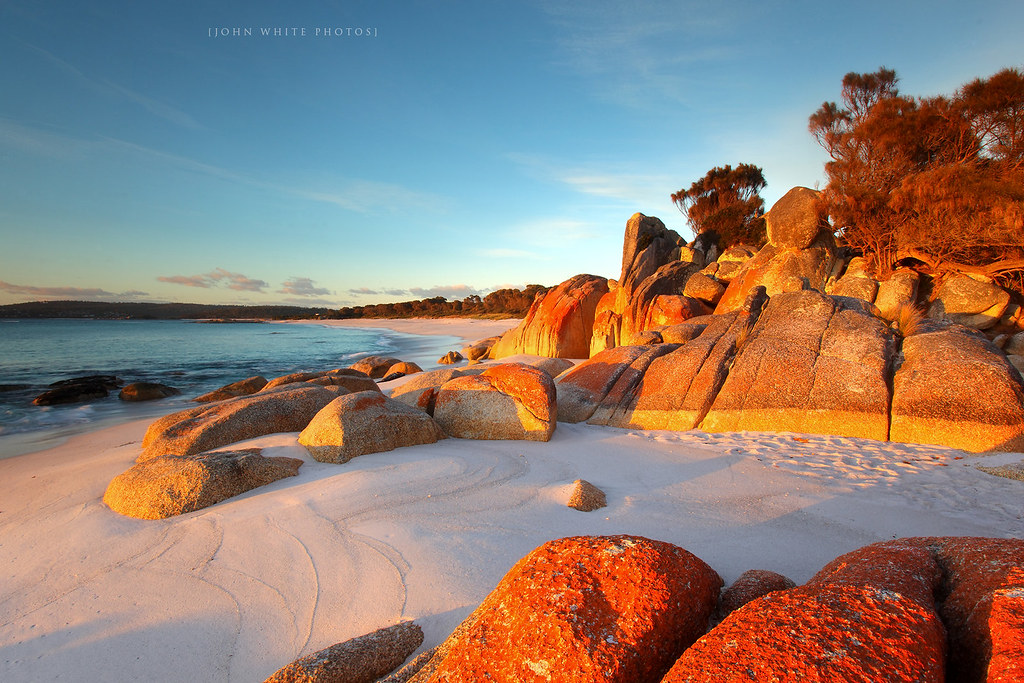 Bay of Fires Tasmania Getty Image. Red lichen on rocks at … Flickr