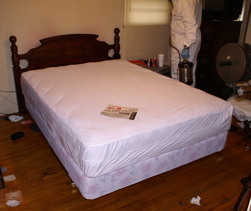 Bed bug proof mattress covers properly installed bed bug p… Flickr