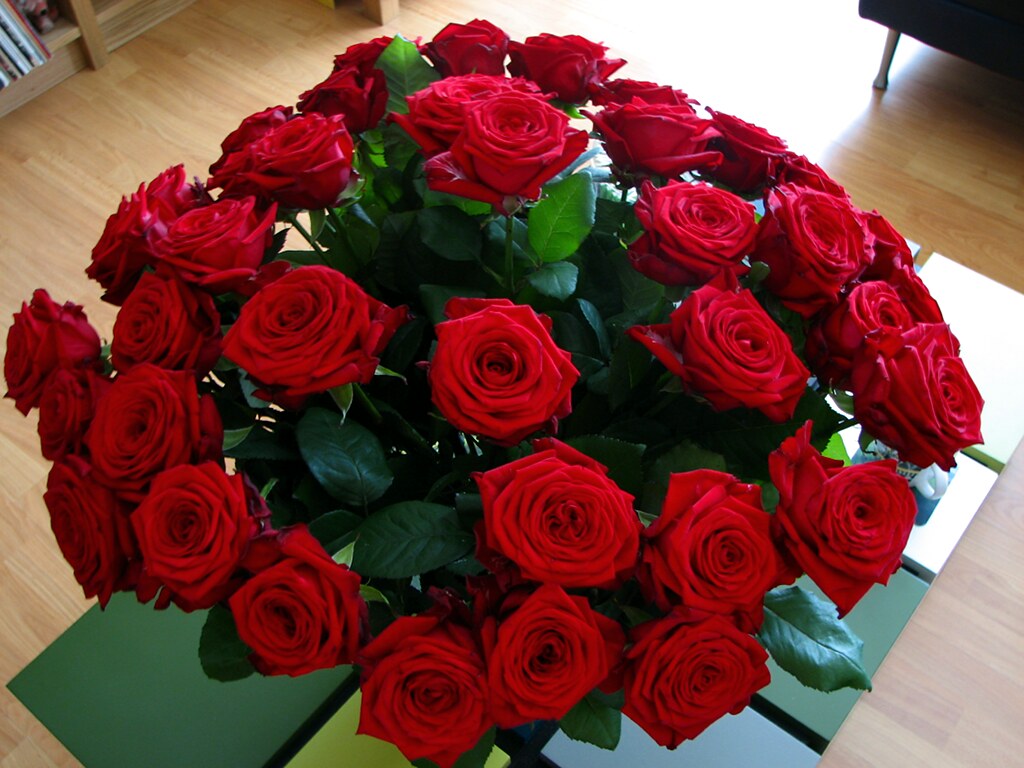 40 red roses Flickr