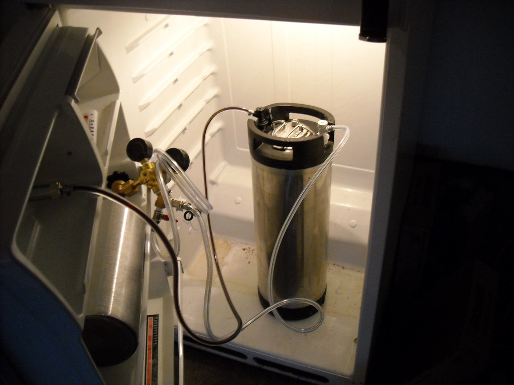 DSCN0028 Inside the keg fridge a 5 gallon keg and CO2 tan… Flickr
